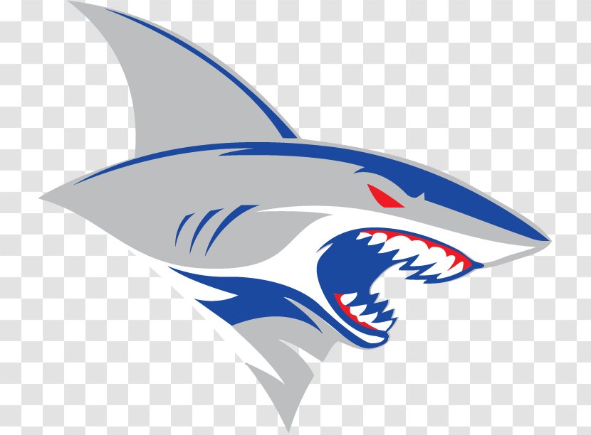 Shark Image Logo American Football - Great Hammerhead Transparent PNG