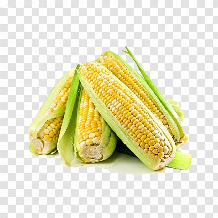 Corn Belt Waxy Sweet Corncob Kernel - Vegetarian Food - (Maize) Transparent Images Transparent PNG