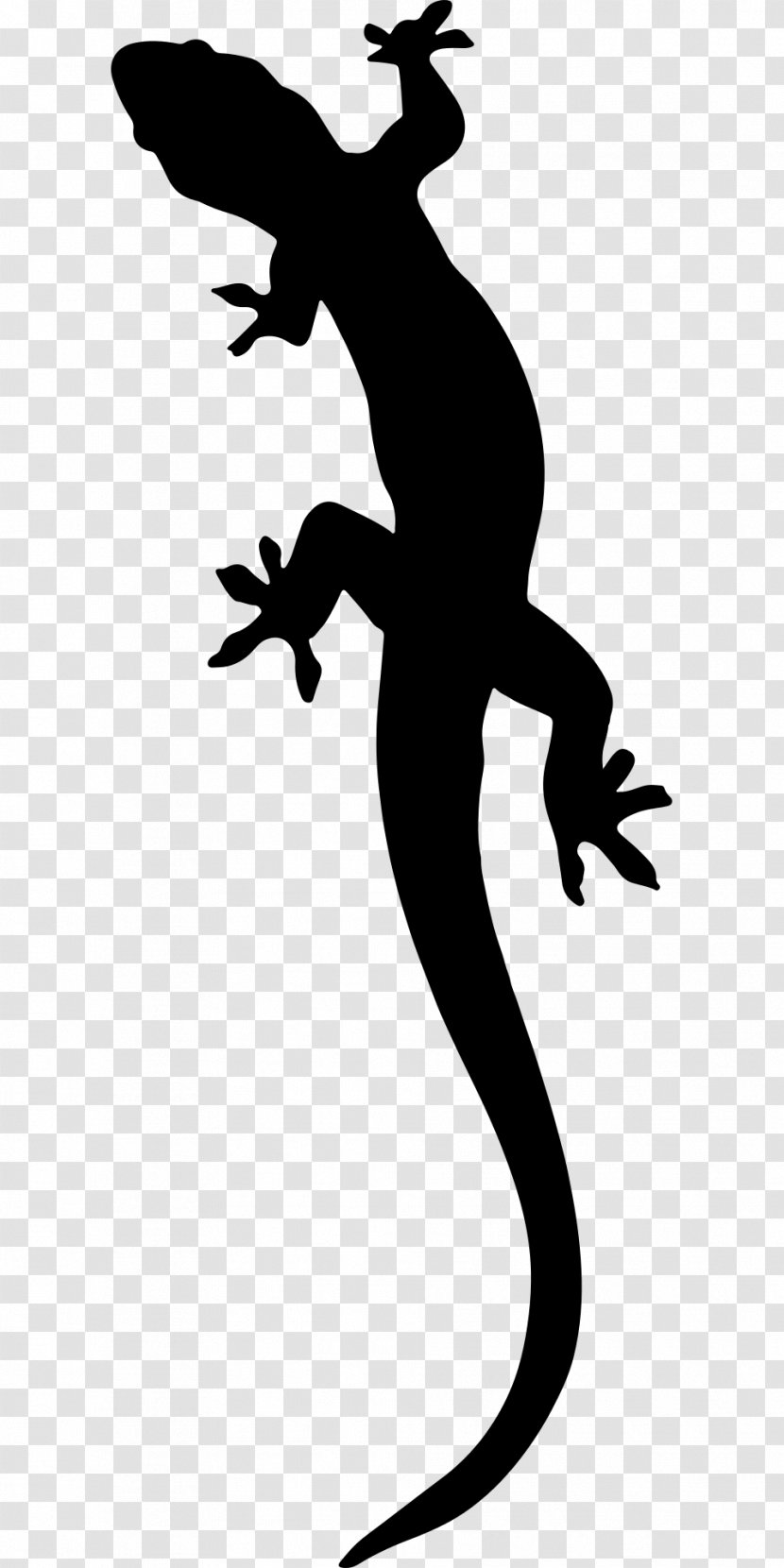 Salamander Lizard Clip Art - Fictional Character Transparent PNG