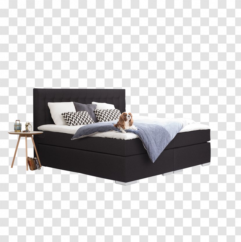 Bed Size Couch Sofa Box-spring - Mattress Transparent PNG