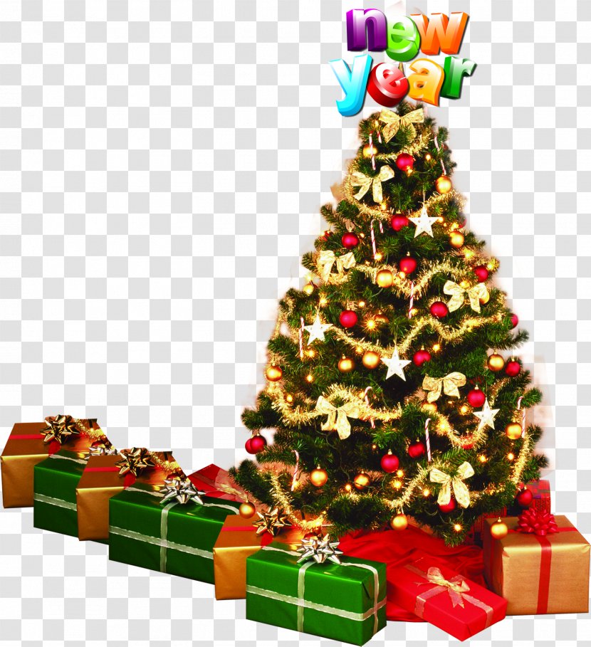 Christmas Tree Santa Claus Ornament Fir - Holiday Greetings - Dress Up Transparent PNG