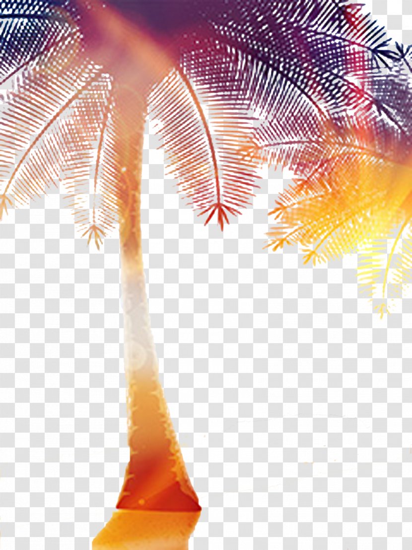 Light Coconut Tree - Arecaceae - Halo Decoration Transparent PNG