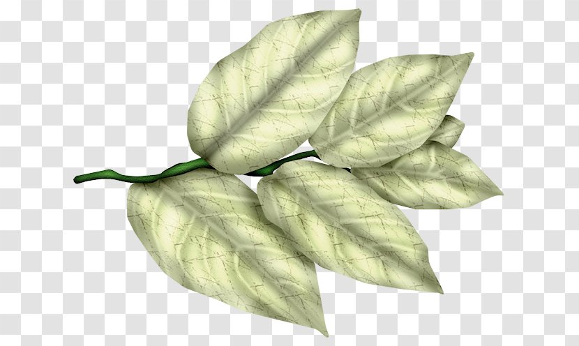 Centerblog Image Anthology - Plant - Leaves Transparent PNG