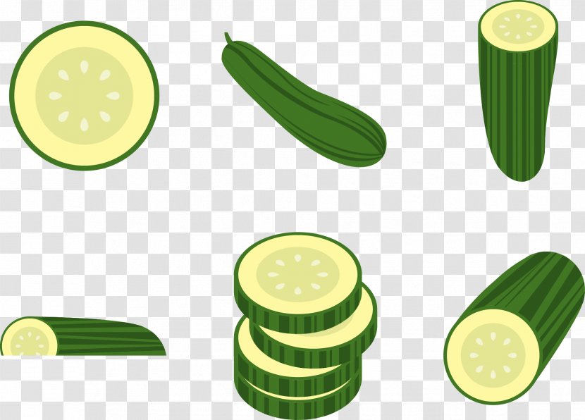 Cucumber Pepino Euclidean Vector - Superfood - Slices Transparent PNG