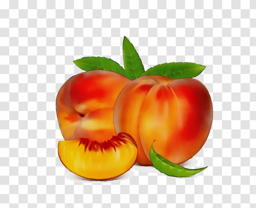 Orange - Peach - Nectarines Transparent PNG