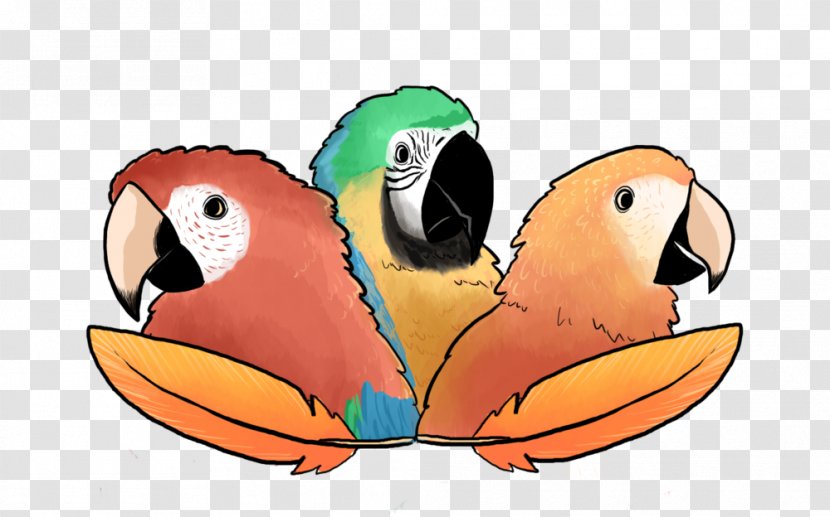 Macaw Parrot Podcast Drawing - Cartoon Transparent PNG