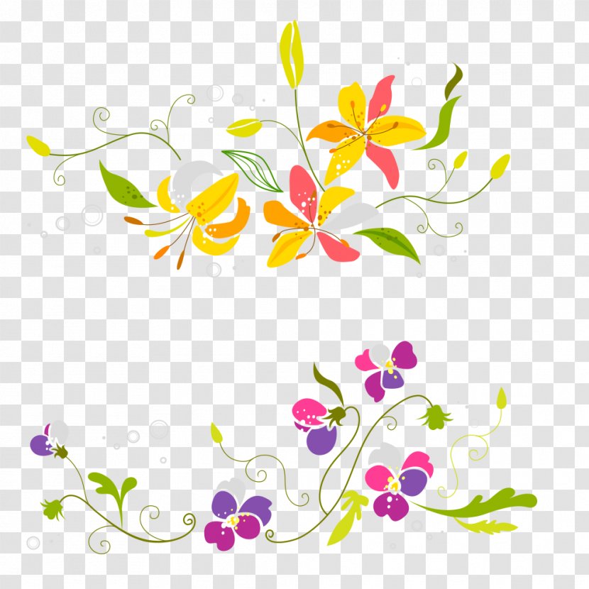 Flower Euclidean Vector - Pattern - Two Colorful Transparent PNG
