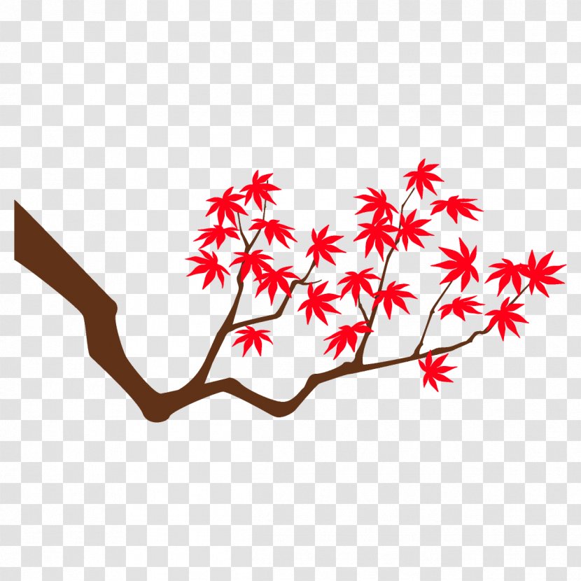 Maple Branch Leaves Autumn Tree - Flower Twig Transparent PNG