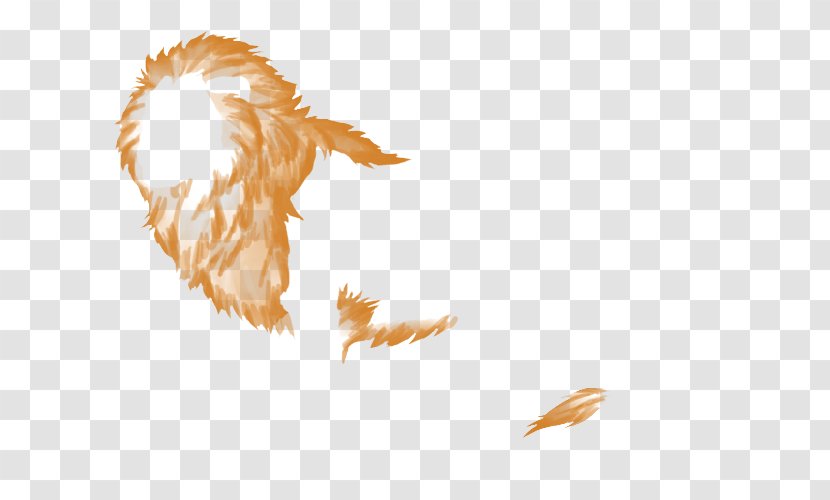 Lion Felidae Simba Edward Newgate Feather - Fur - Gold Transparent PNG