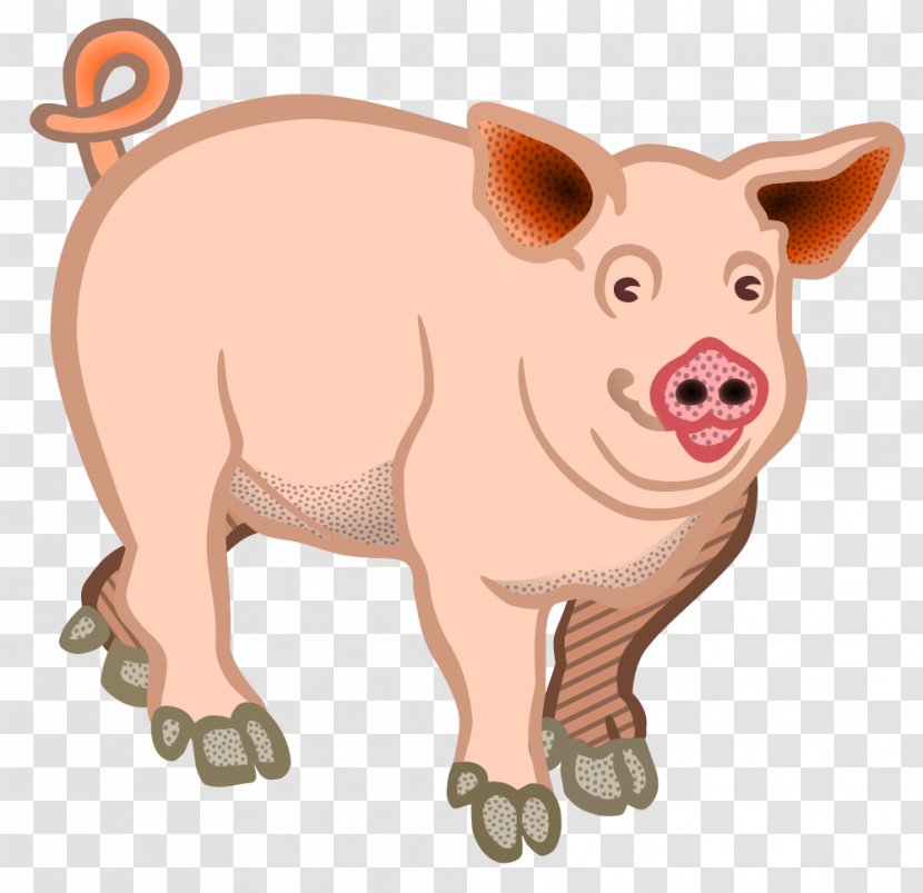 Domestic Pig Clip Art - Nose - Livestock Transparent PNG