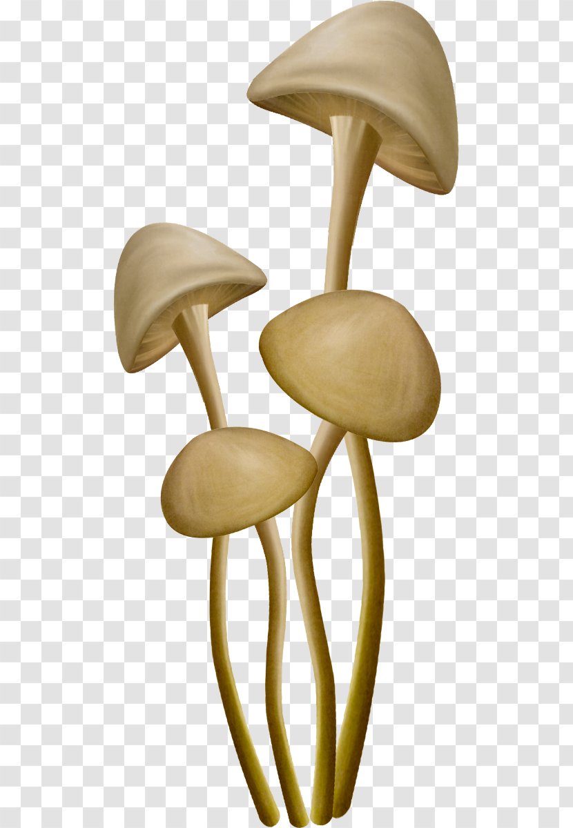 Mushroom Fungus Clip Art - Material Transparent PNG