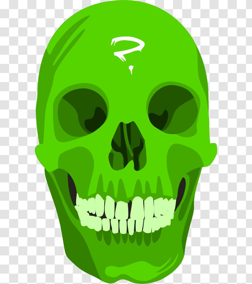 Human Skull Symbolism Free Content Clip Art - Leaf - Question Mark Vector Transparent PNG