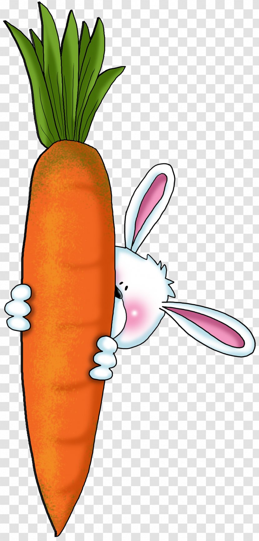 Carrot Cake Vegetable Rabbit Drawing - Parsnip - Bun Transparent PNG