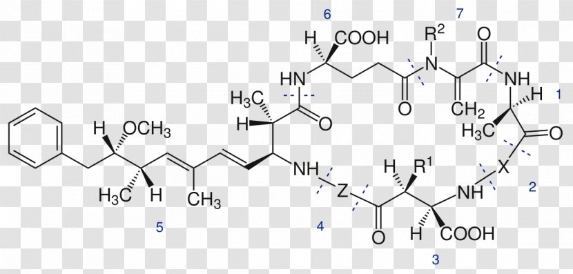 Microcystin-LR Toxin Blue-green Bacteria Chemical Compound - Cartoon - Microcystis Transparent PNG