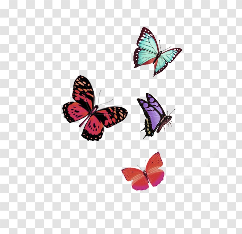 Butterfly Download Computer File - Green - Red Dream Floating Material Transparent PNG