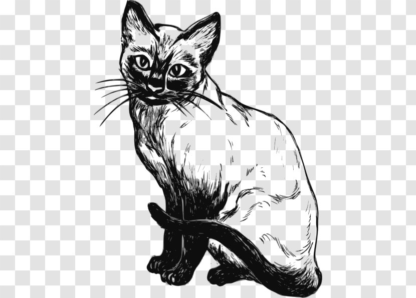 Siamese Cat Kitten Sphynx Drawing Clip Art Transparent PNG