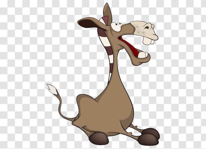 Donkey Cartoon Funny Animal Illustration - Cat Like Mammal - Vector Sitting Transparent PNG