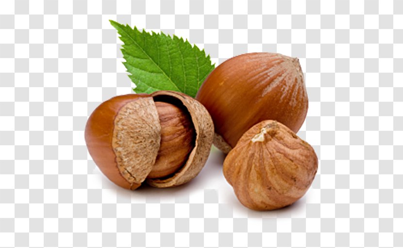 Hazelnut Filbert Common Hazel Raw Foodism Transparent PNG