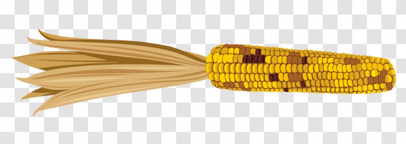 Corn On The Cob Maize - Cartoon Painted Yellow Transparent PNG