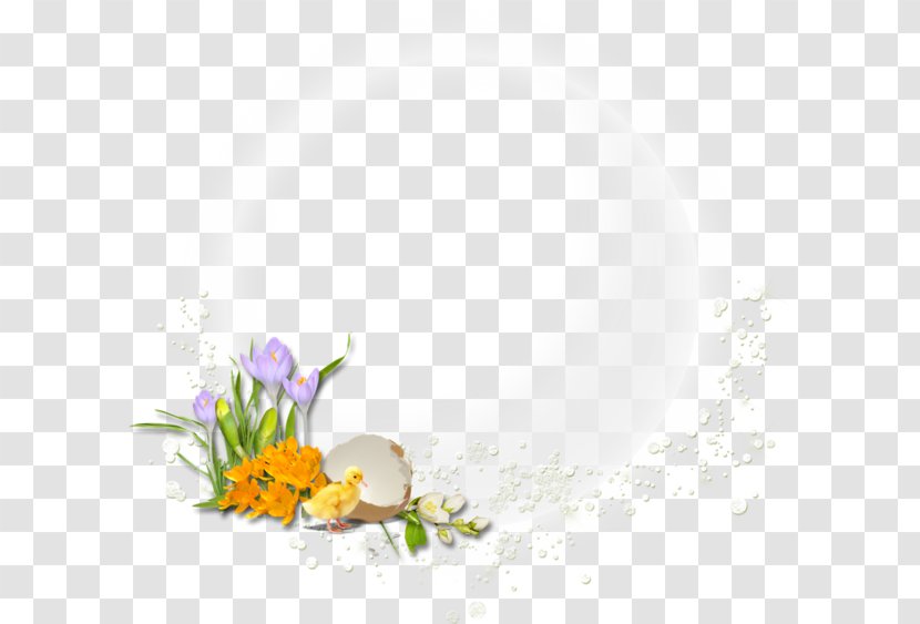 Floral Design Flowering Plant Desktop Wallpaper Computer Transparent PNG