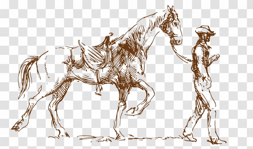 Vector Graphics Image Adobe Illustrator Photograph Graphic Design - Horse Tack - Cartoon Farm Animals Transparent PNG