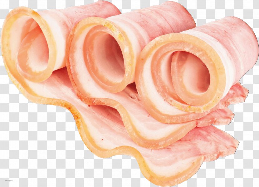 Bacon Vodka Ham Clip Art - Pork Transparent PNG