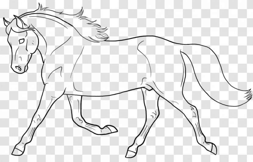 Line Art Mule Welsh Pony And Cob Drawing - White - Painting Transparent PNG