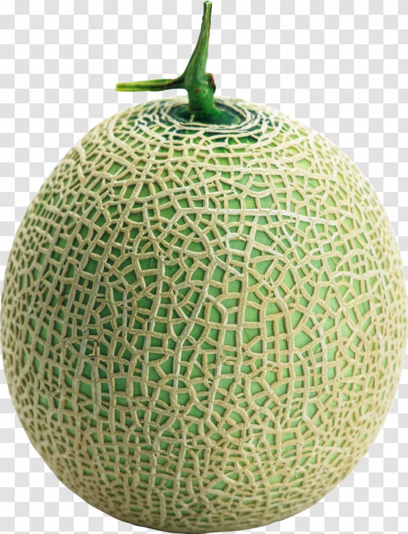 Cantaloupe Honeydew Galia Melon Cucumber Transparent PNG