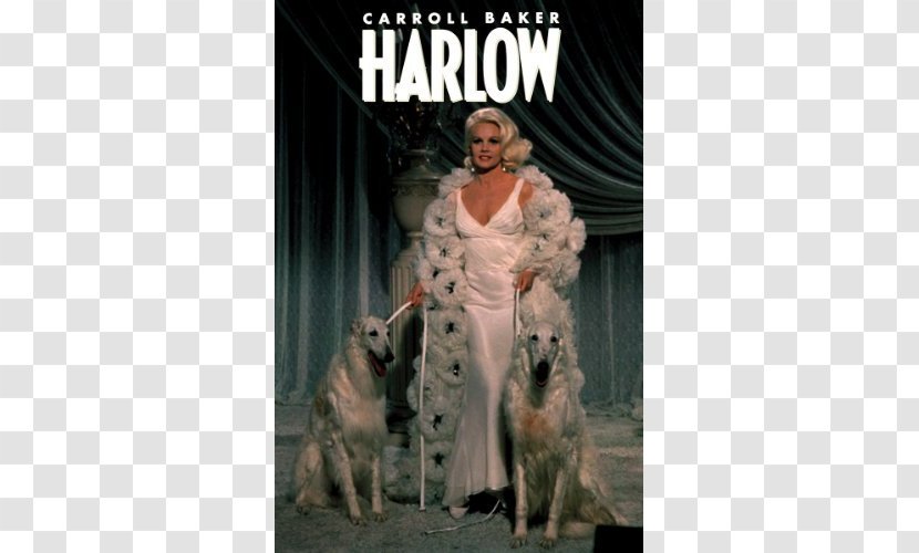 Marino Bello Actor Film Jean Harlow - Photo Caption Transparent PNG