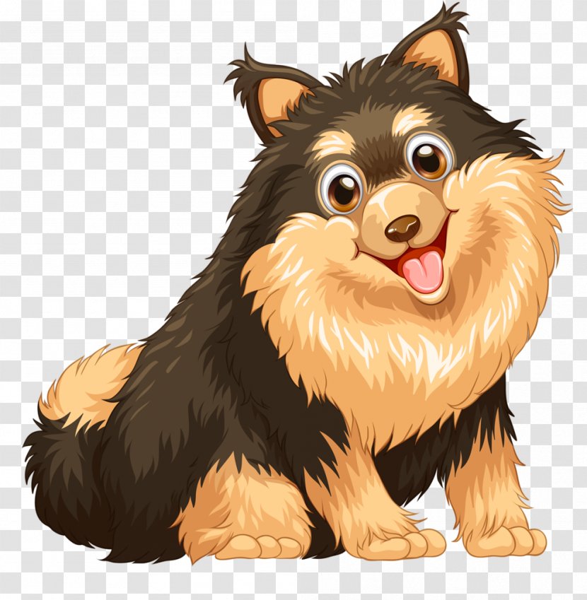 Pomeranian Puppy Royalty-free - Breed Transparent PNG