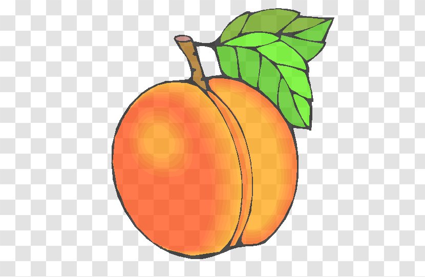 Orange - Food - Drupe Peach Transparent PNG
