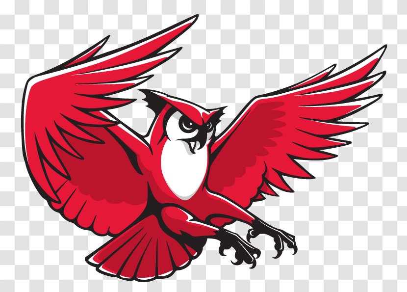 Keene State College Owls Men's Basketball Kennesaw University Logo - Owl Transparent PNG