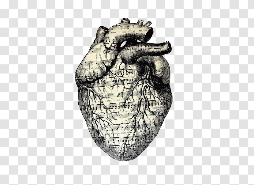 Drawing Heart Musical Theatre Transparent PNG