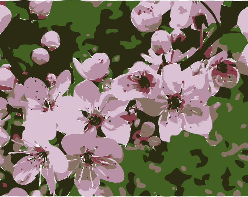 Plum Blossom National Flower Of The Republic China Floral Emblem Transparent PNG