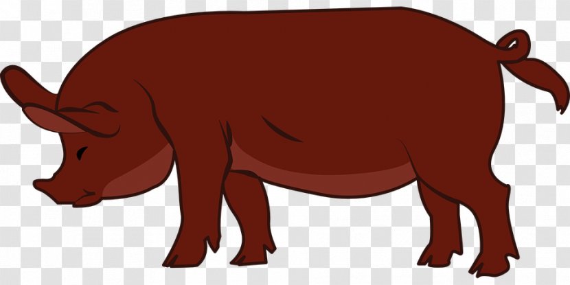 Duroc Pig Pig's Ear Livestock Clip Art - Cattle Like Mammal - Daze Wine Red Bow Sow Transparent PNG