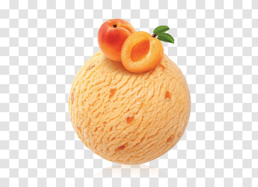 Mövenpick Ice Cream Sorbet Apricot Hotels & Resorts - Orange Transparent PNG