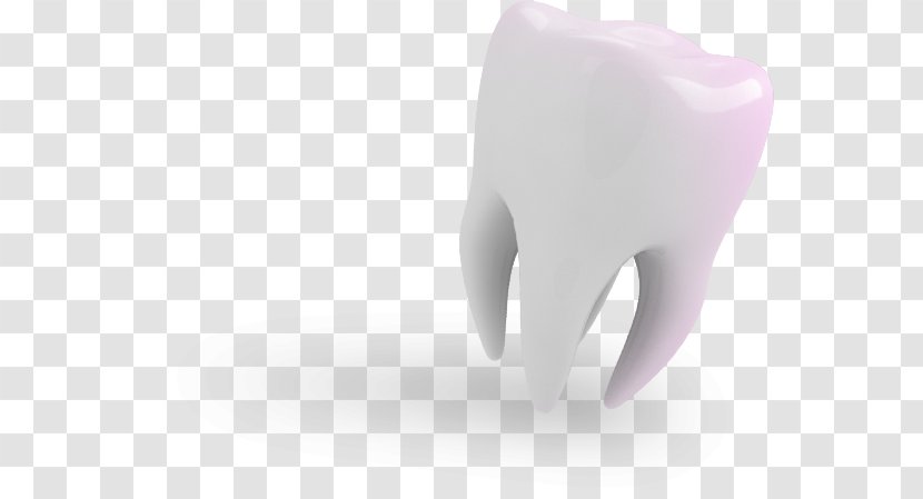 Human Tooth Product Design - Tree - Bucky Dent Transparent PNG