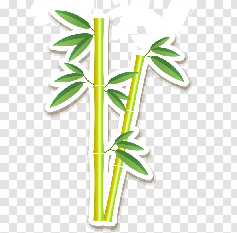 Bamboo Download - Flower - Hand-painted Green Vector Transparent PNG