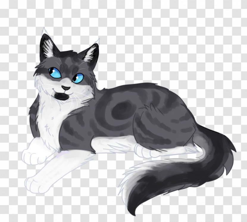 Cat Kitten Drawing Art Whiskers - OLD MAN Transparent PNG