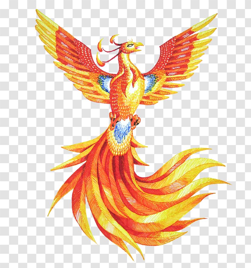 Phoenix Drawing Clip Art - Web Browser - HD Transparent PNG