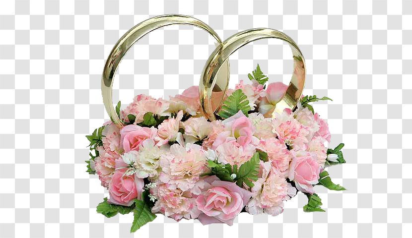 Ring Pink Rose - Flowering Plant - Romantic Transparent PNG