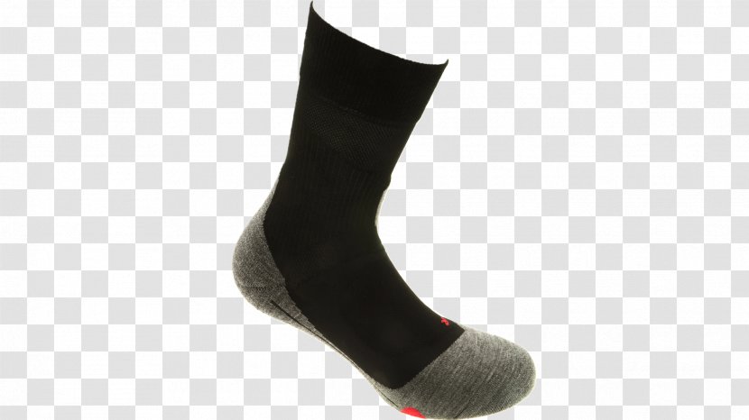 Sock FALKE KGaA Knee Highs Hosiery - Human Leg - Middle Sea Race Transparent PNG