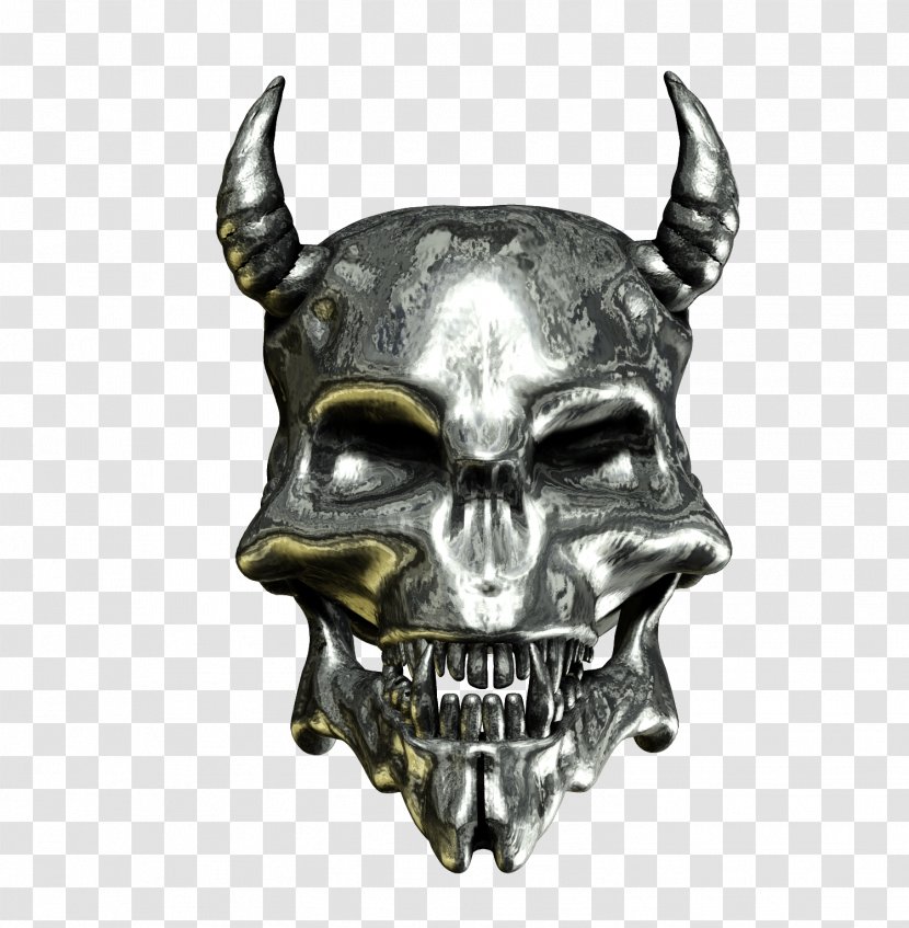 Skull Calavera Bone - Human Transparent PNG