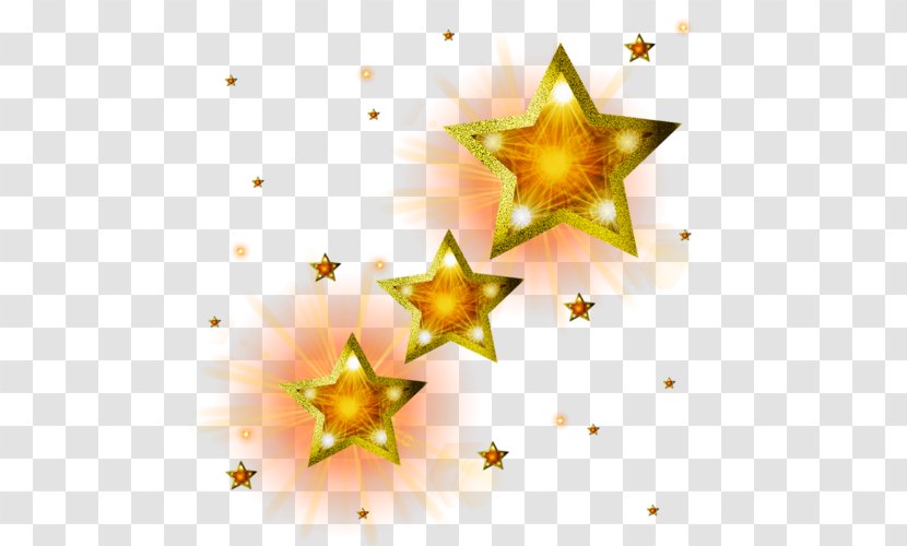 Star Clip Art - Petal - Flower Transparent PNG