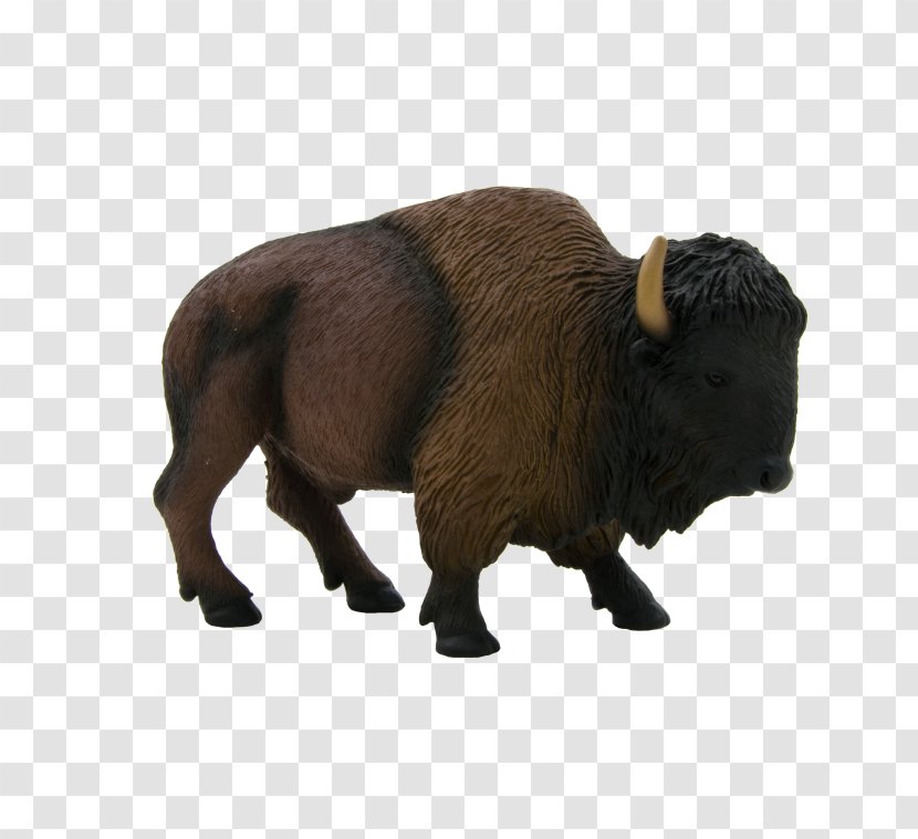 European Bison American United States Water Buffalo African Transparent PNG