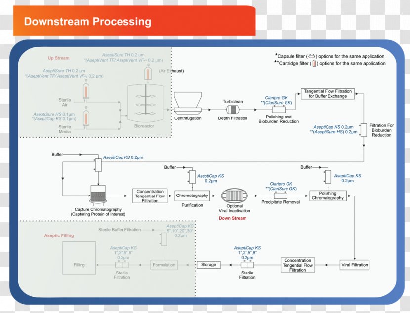 Downstream Processing Diagram Petroleum Industry - Paper - Biopharmaceutical Transparent PNG