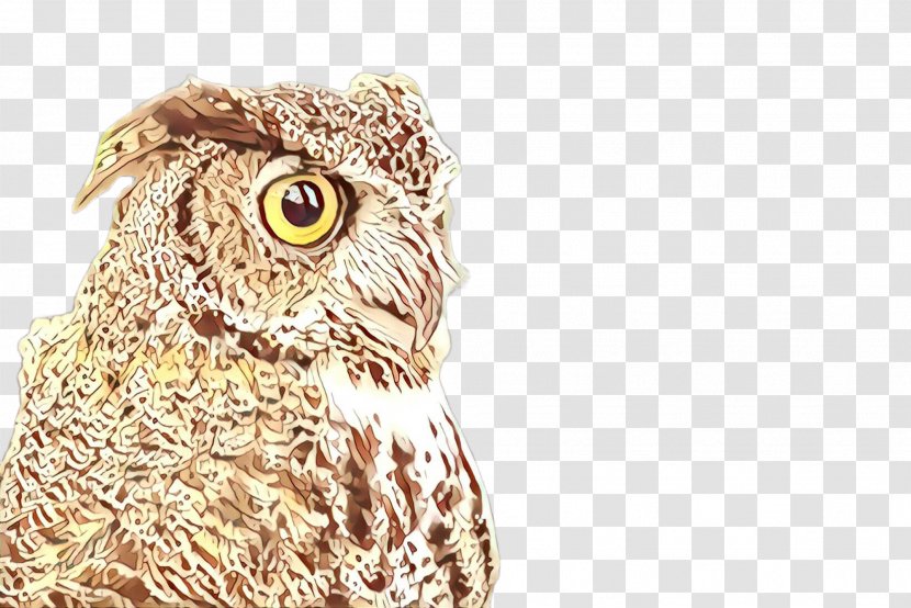 Owl Bird Of Prey Western Screech Eastern - Great Grey Horned Transparent PNG