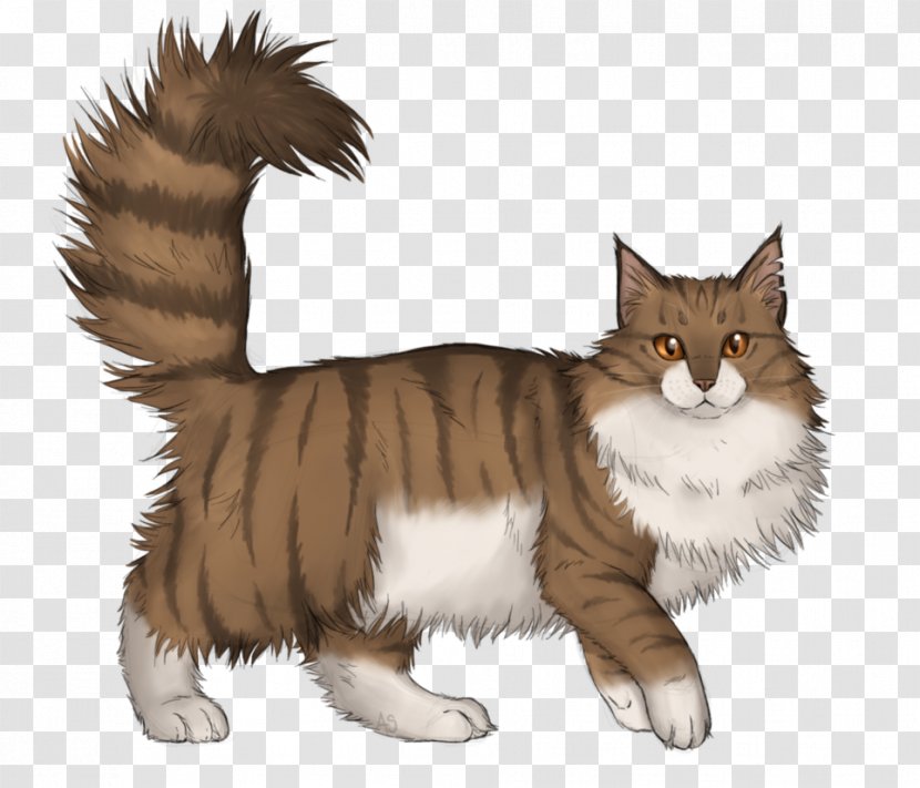 Manx Cat Norwegian Forest Maine Coon Whiskers Domestic Short-haired - Fauna - Kitten Transparent PNG
