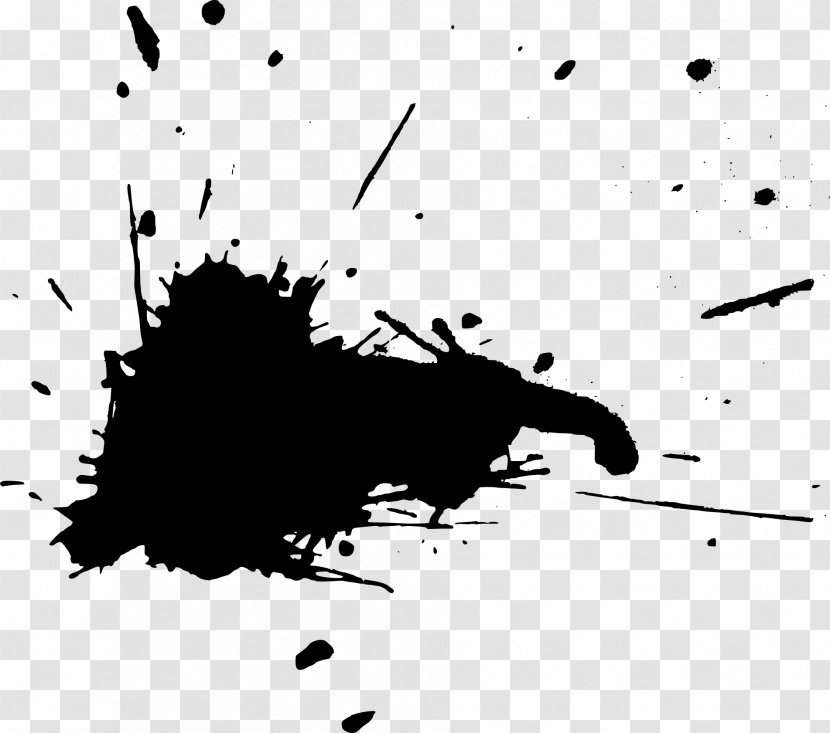 Black And White Paint Photography Splatter Film Transparent PNG