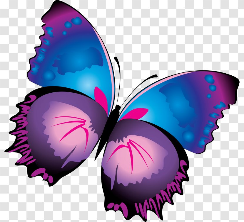 Butterfly Purple Clip Art - Blue Transparent PNG